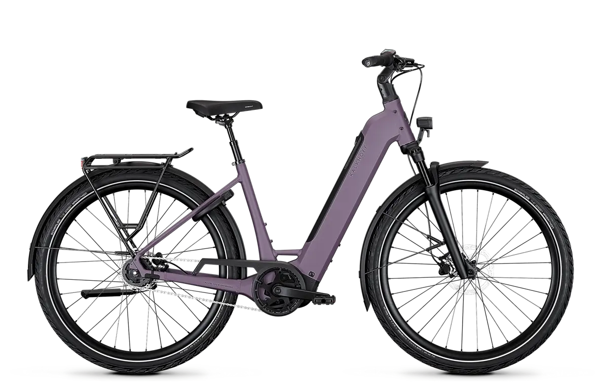 IMAGE 3 ADVANCE MIDNIGHTPLUM MOD.2027
